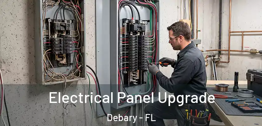  Electrical Panel Upgrade Debary - FL